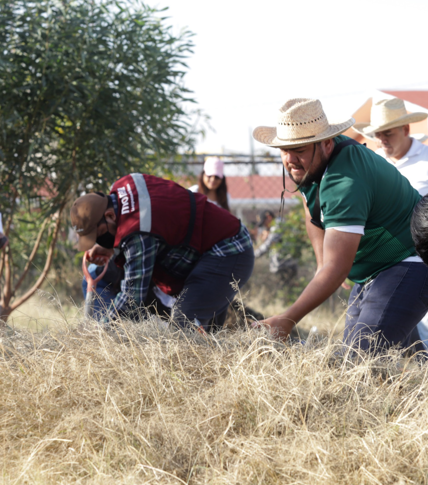 Miembros de Morena y la comunidad local participan
en una Faena Comunitaria, mejorando el entorno y
fortaleciendo la cohesión social.