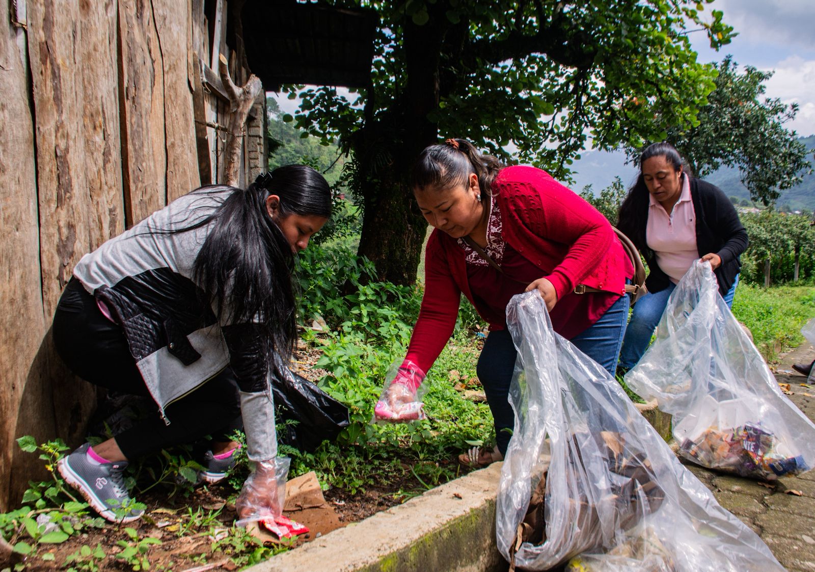 WhatsApp Image 2025-07-30 at 8.15.18 AM (2)