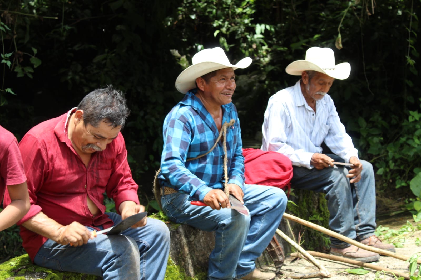 2908f747-2b63-4fbe-990b-7861d454a861