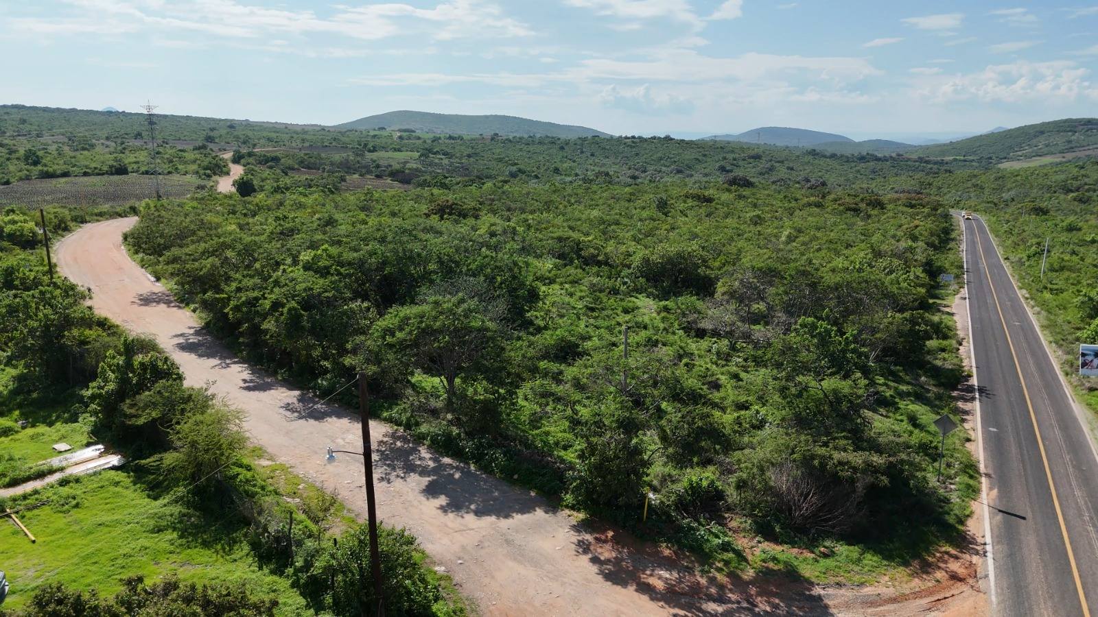 540700521_122176247372558862_7786001598013393707_n