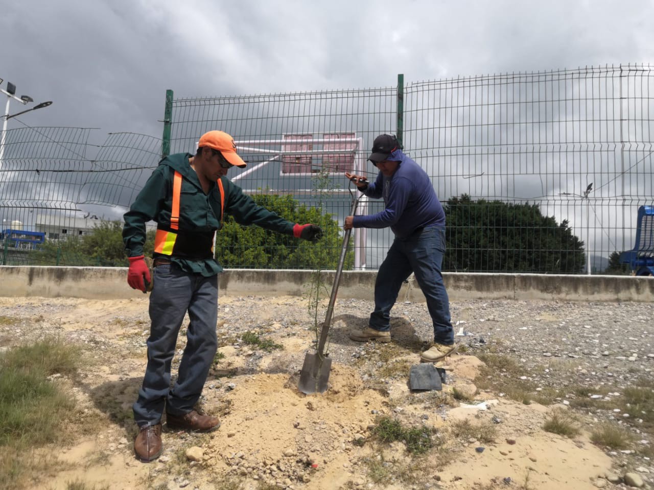 549658037_1305723338231614_6604179647323268331_n