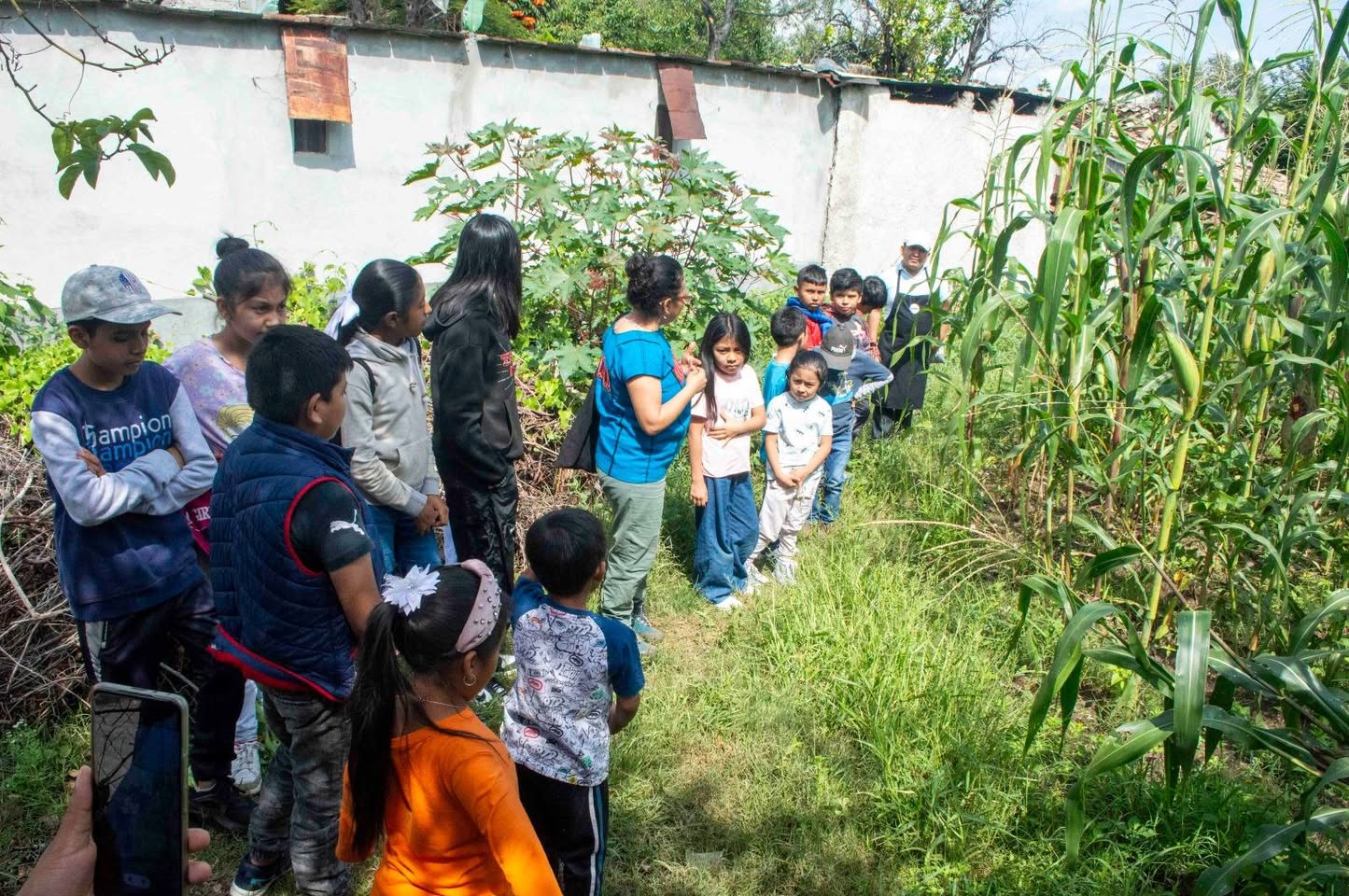 555950984_122181727718558862_594415792028514287_n