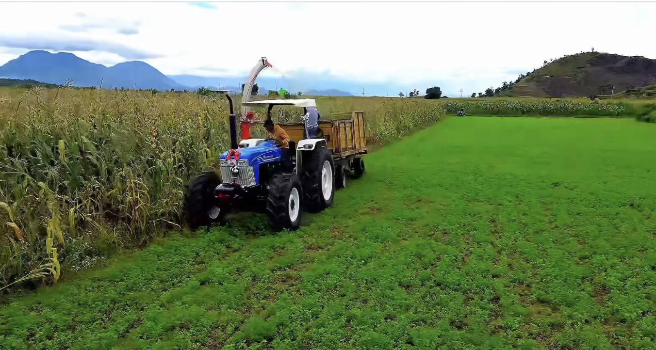 Captura de pantalla 2025-09-22 a la(s) 4.41.09 p.m.