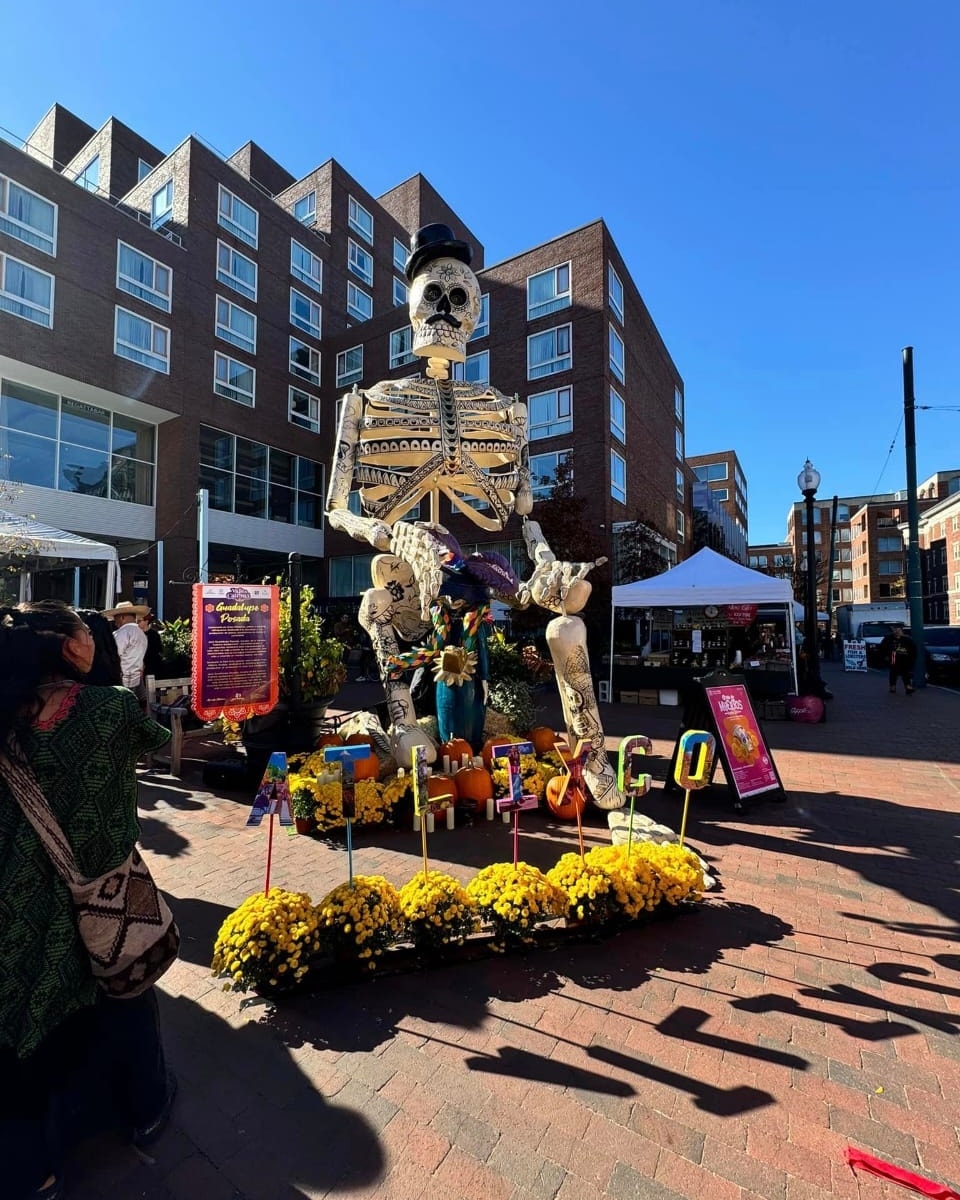 556634233_1681410169444708_4206721048235454202_n