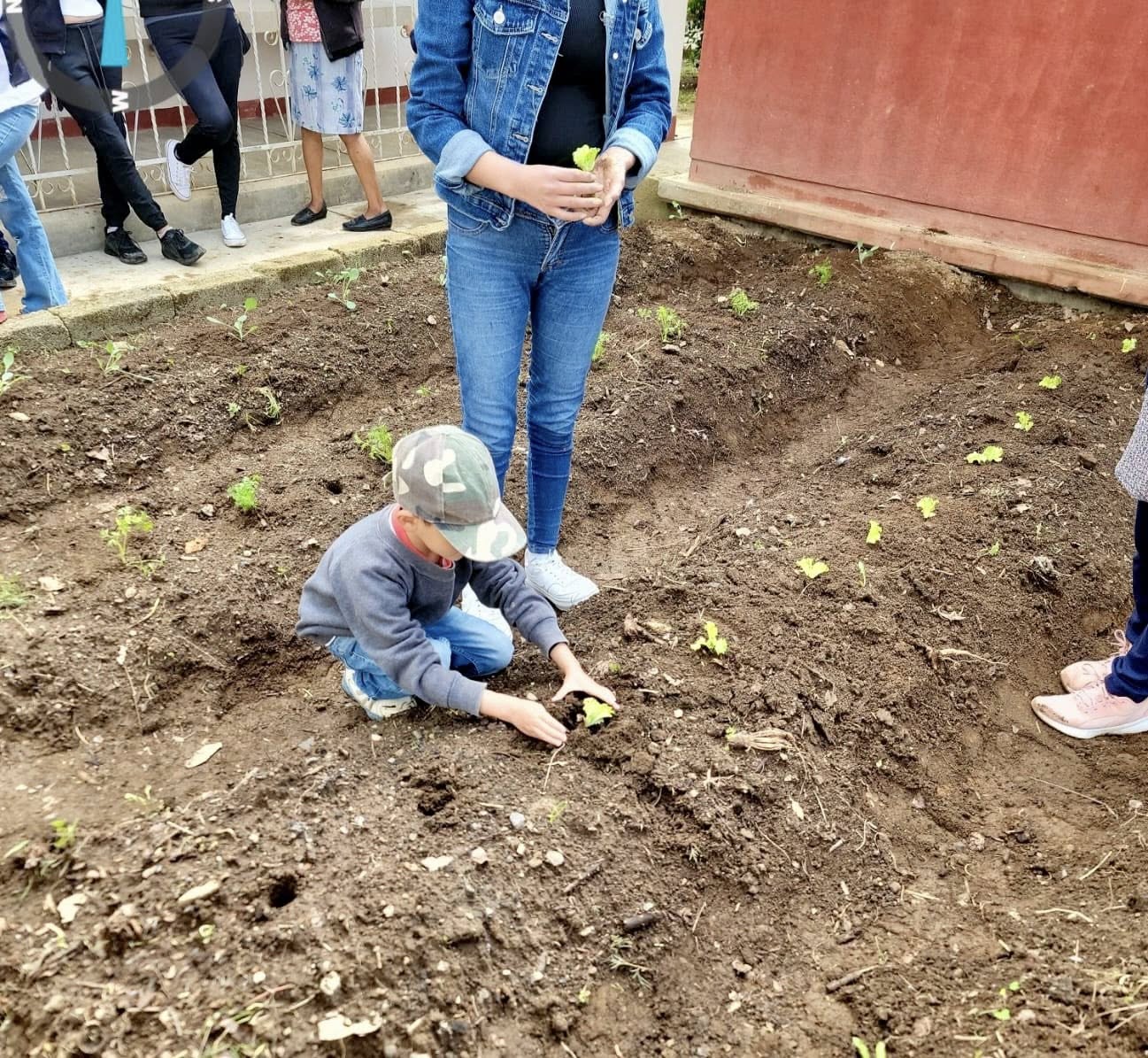 558129471_122174003702581126_1340707848656315474_n