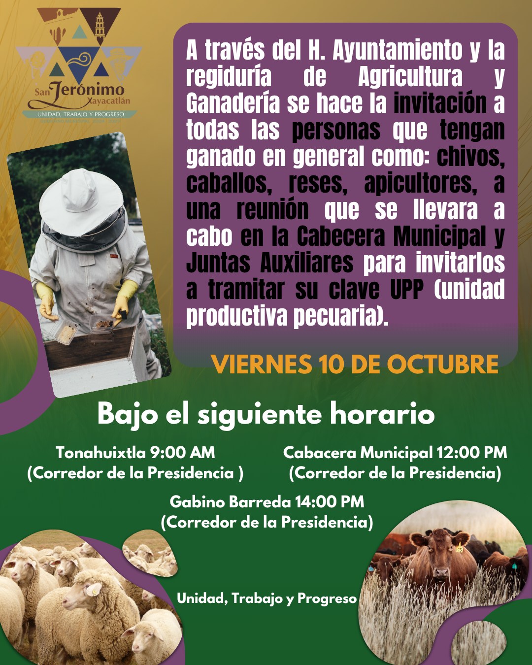 558408484_122175309536580239_9162595558241316448_n