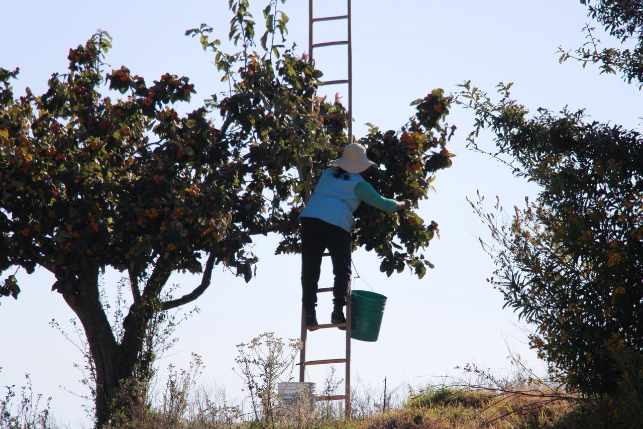 3a280436-d89f-49e2-aaa9-d326ea448674