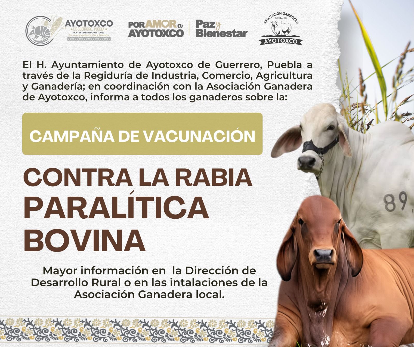 580898496_122155158302622808_4648498697053945698_n