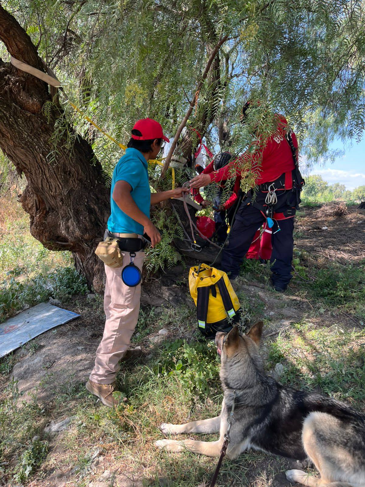 598299985_122152768700662328_5837459370376888579_n