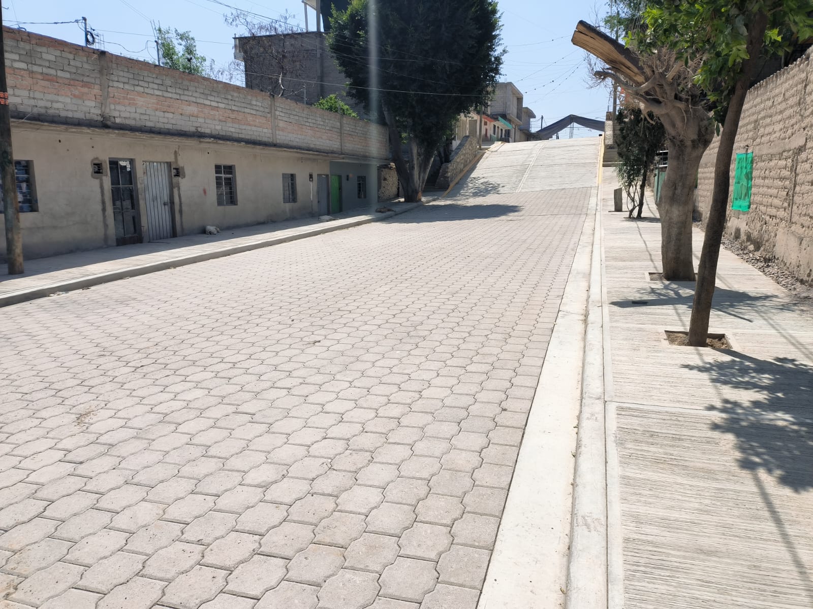 650207217_1452749523528994_5812999658299683096_n