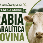 Ayotoxco de Guerrero invita a ganaderos a capacitación sobre rabia paralítica bovina
