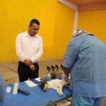 Gobierno de Isaac Rodríguez Ochoa realiza campaña de esterilización canina y felina en Esperanza