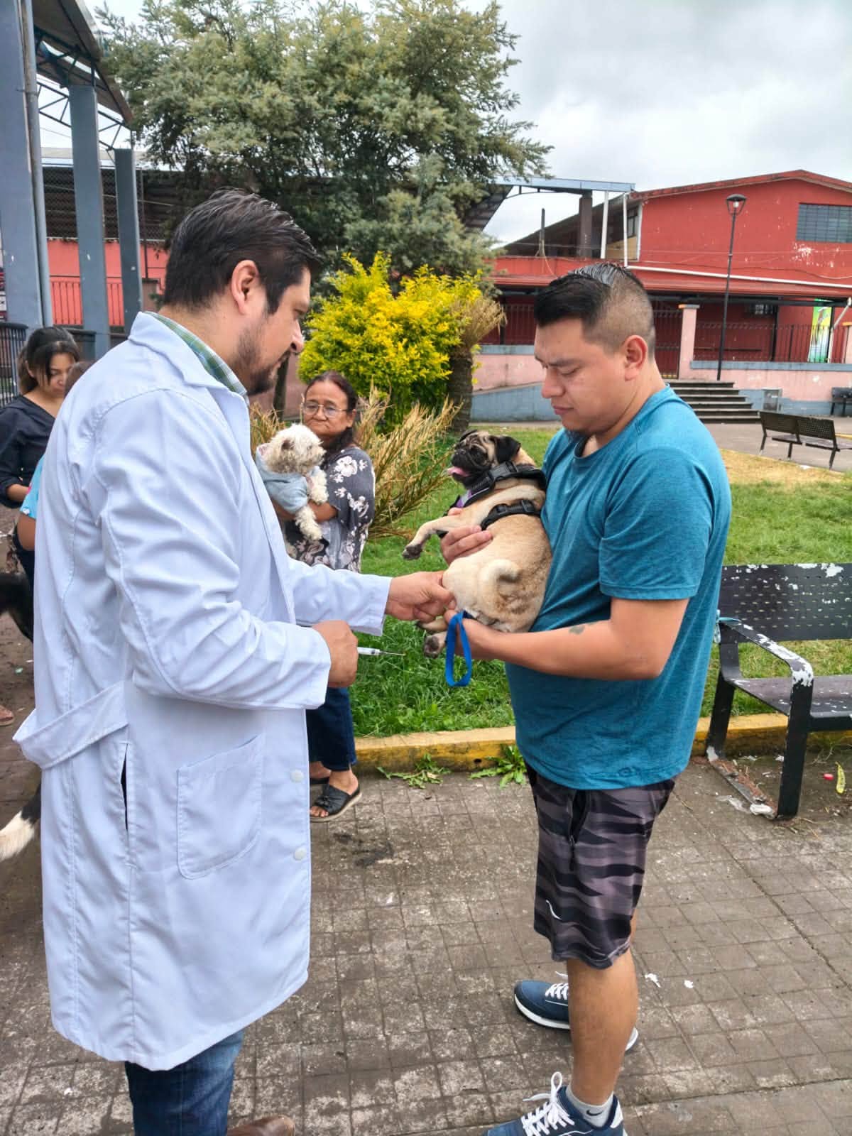 Teziutlán lleva jornada de vacunación para perros y gatos a Xoloco