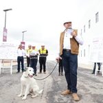 Armenta destaca protección animal como parte de la responsabilidad pública en Puebla