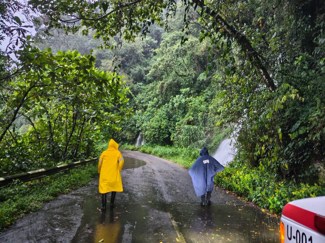 Protección Civil de Tlatlauquitepec atiende reportes por lluvias y refuerza vigilancia en comunidades